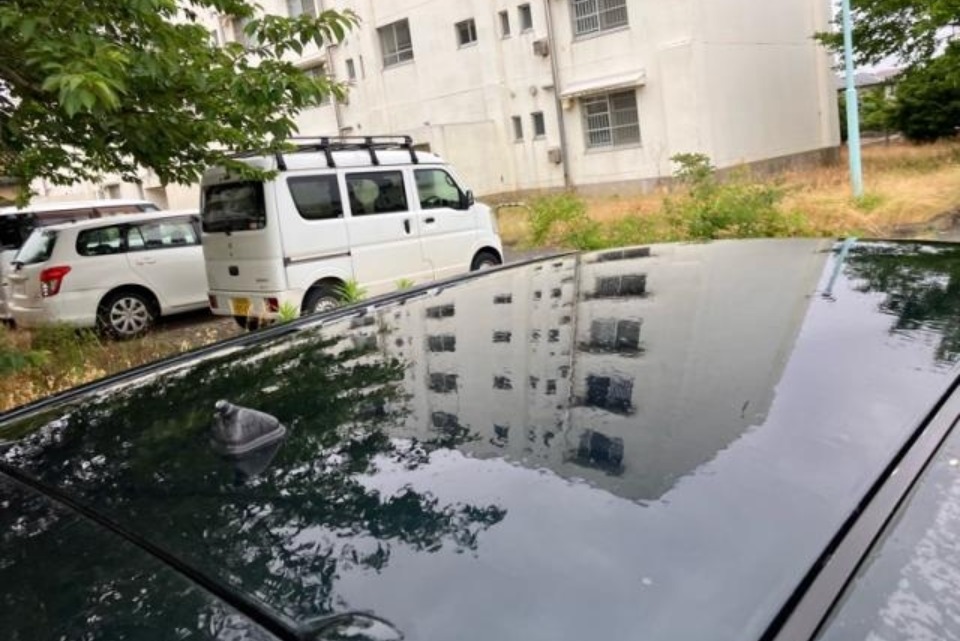 2006 MAZDA Verisa — photo 6