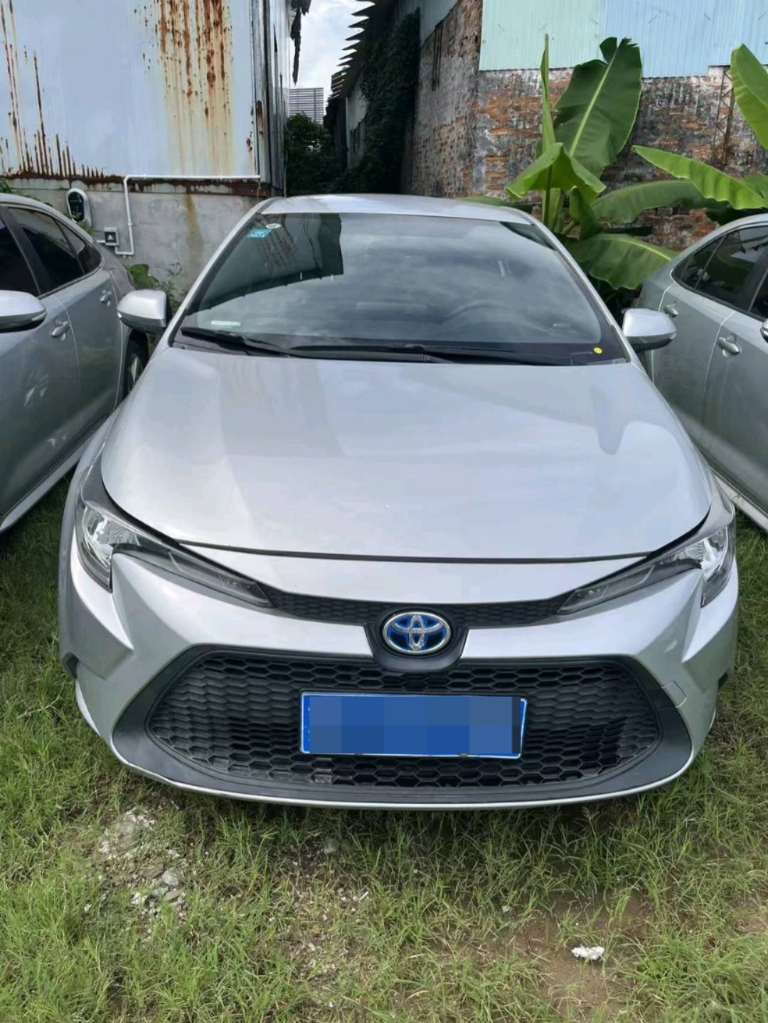 2020 Toyota Levin Hybrid — photo 3