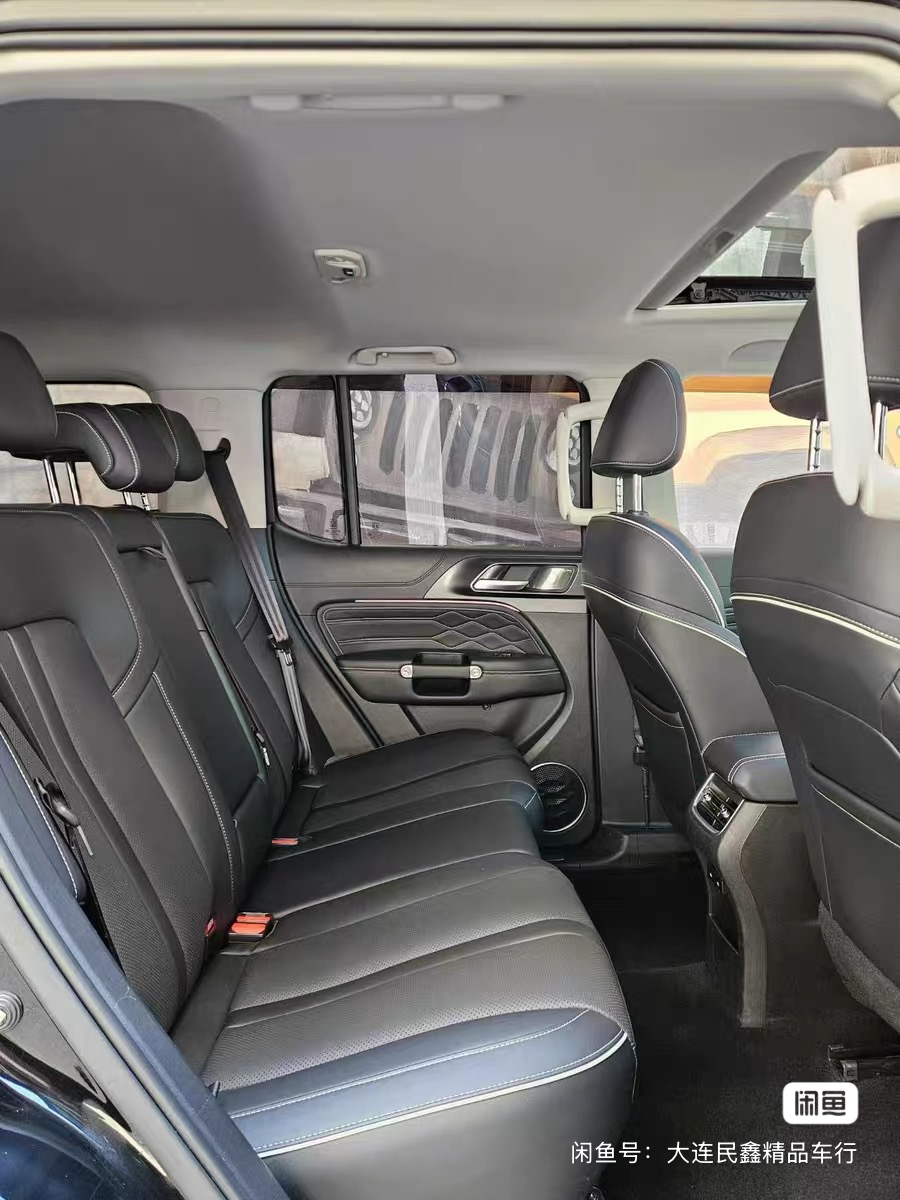 2021 GWM TANK 300 — photo 7