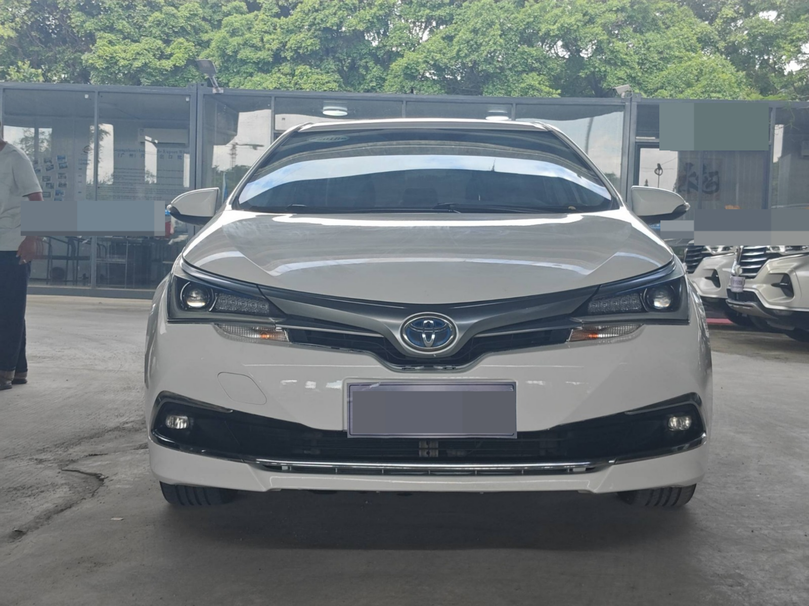 2019 Toyota Corolla Hybrid — photo 5