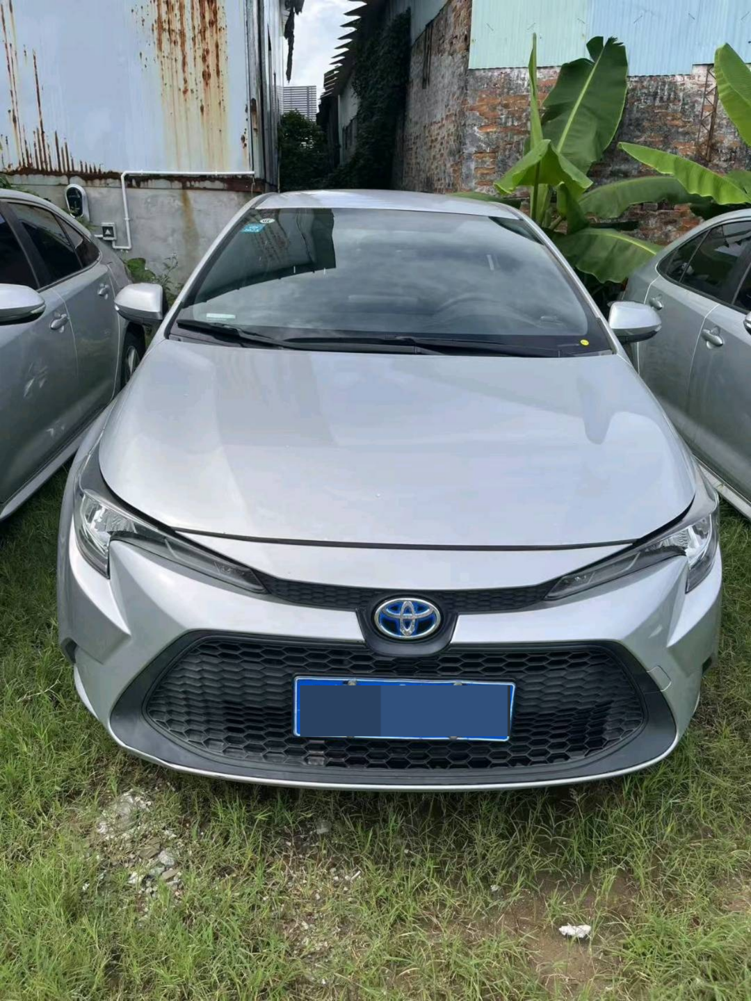 2020 Toyota Levin