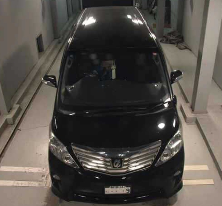 2010 TOYOTA ALPHARD Alphard ANH25W-8025790