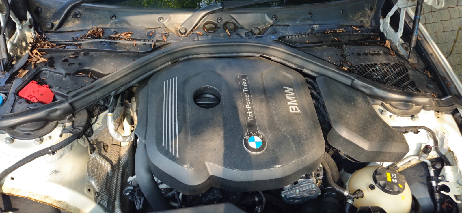 2016 BMW 316i — photo 8