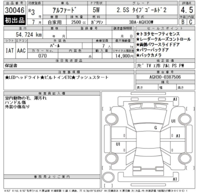 2021 Toyota Alphard 2.5S Type Gold II — photo 9