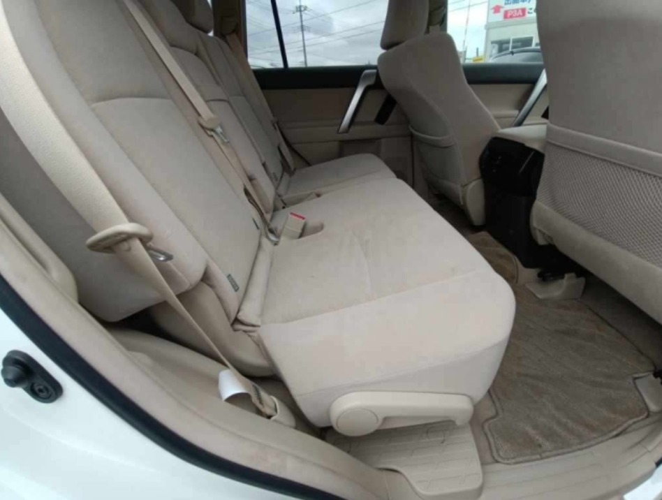 2021 Land Cruiser Prado TRJ1501 — photo 11