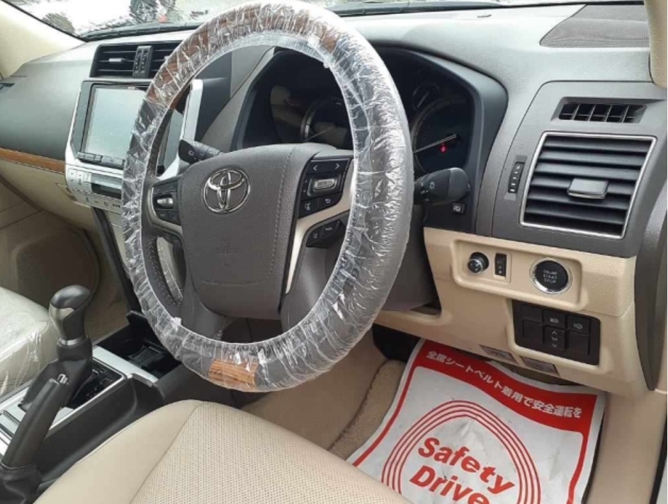 2021 Land  Cruiser Prado TRJ1501 — photo 9