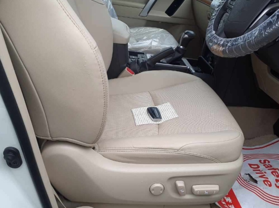 2021 Land  Cruiser Prado TRJ1501 — photo 10