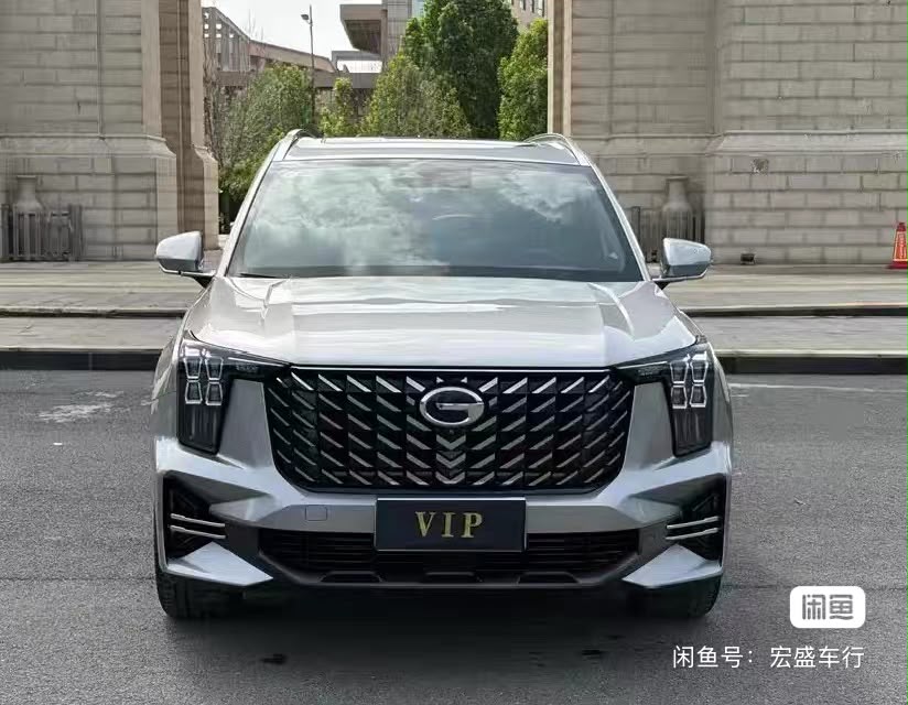 2022 Trumpchi GS8-2.0T-E-CVT — photo 2